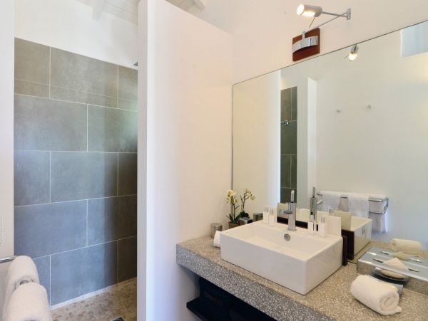 St. Barts Home 974700
