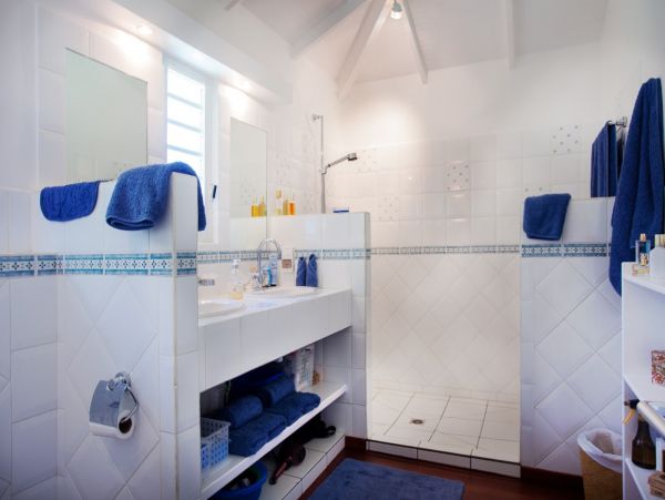 St. Barts Home 974706