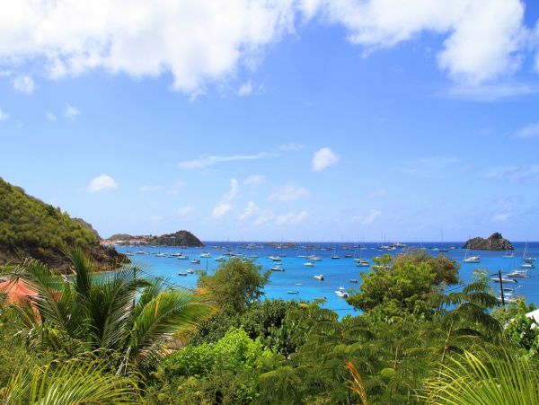 St. Barts Home 974710