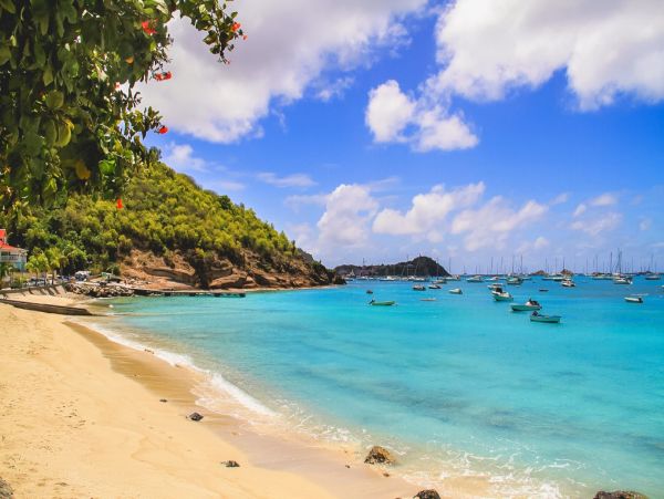 St. Barts Home 974710