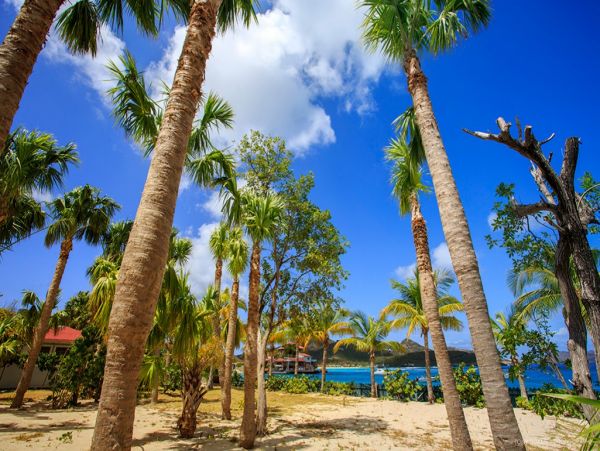 St. Barts Home 974718