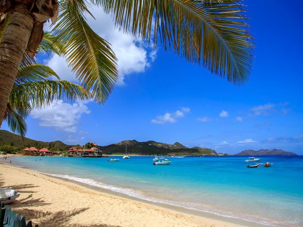 St. Barts Home 974718