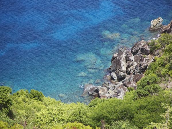 St. Barts Home 974738
