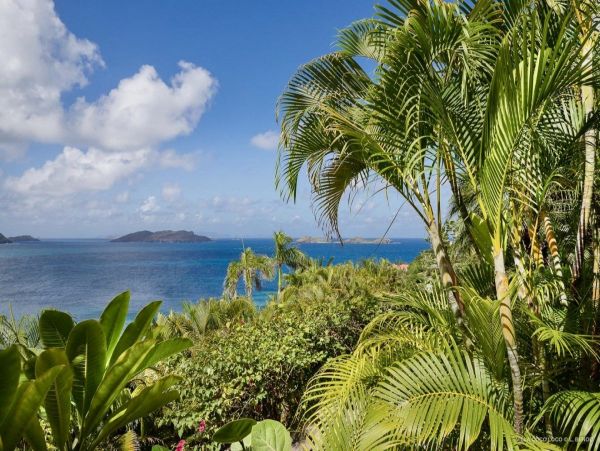 St. Barts Home 974767