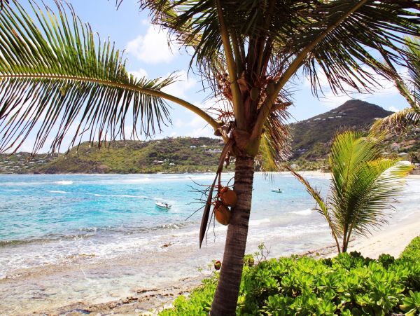 St. Barts Home 974794