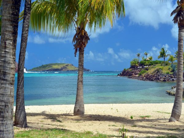 St. Barts Home 974821