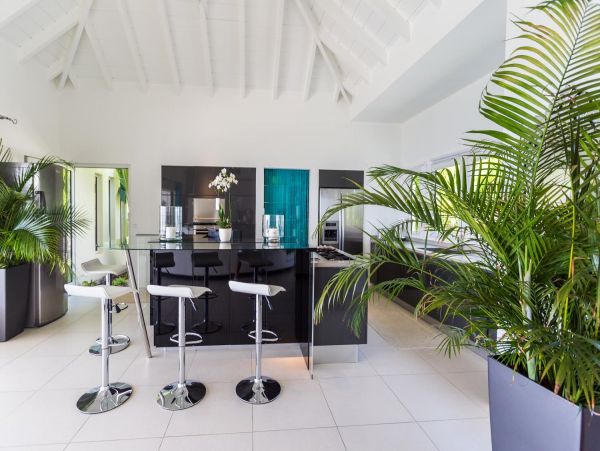 St. Barts Home 974852