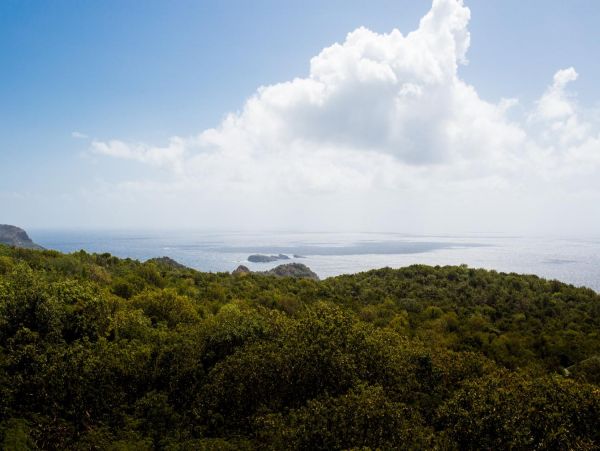 St. Barts Home 974852