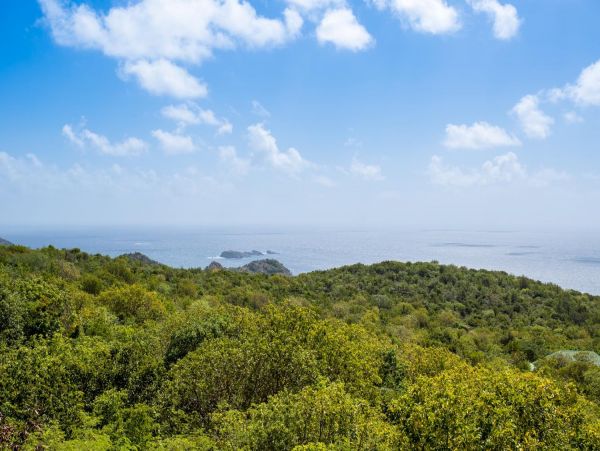 St. Barts Home 974852