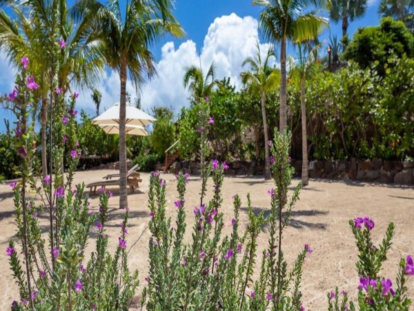 St. Barts Home 974865