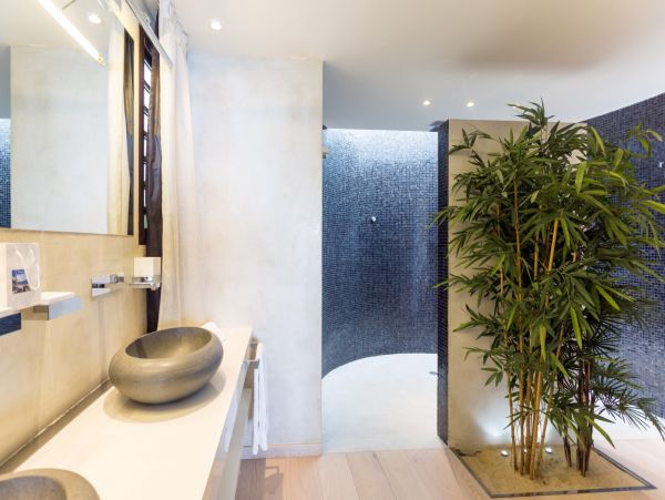 St. Barts Home 974888