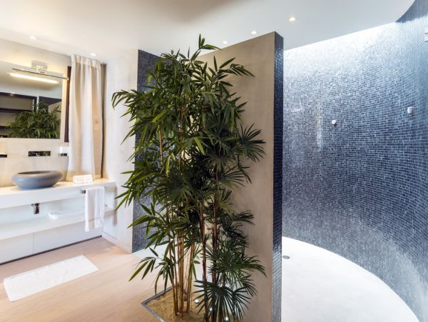 St. Barts Home 974888
