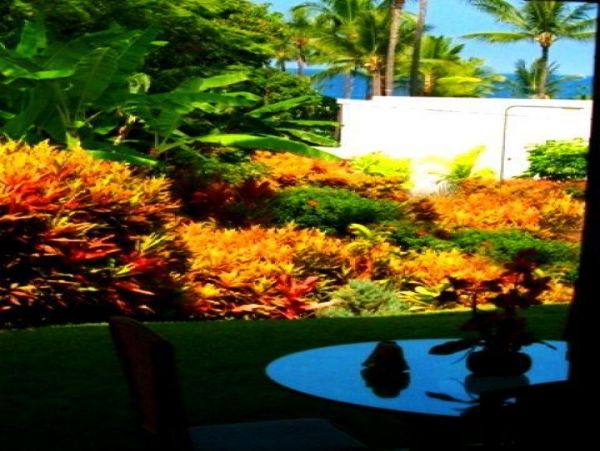 Kailua Kona Condo 974996