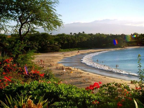 Kailua Kona Condo 974996