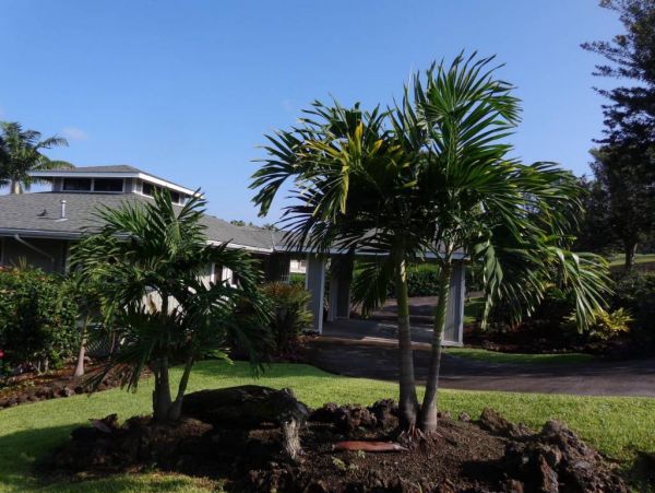 Kailua Kona Home 975005