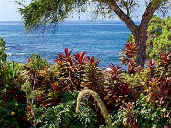 Kailua Kona Condo 975010