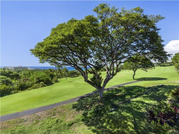 Kailua Kona Condo 975034