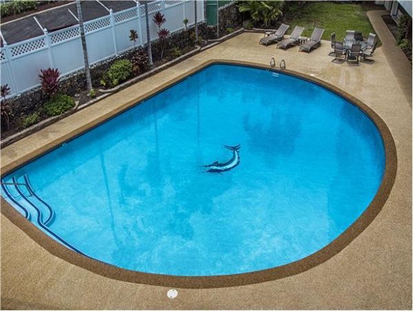 Kailua Kona Condo 975041