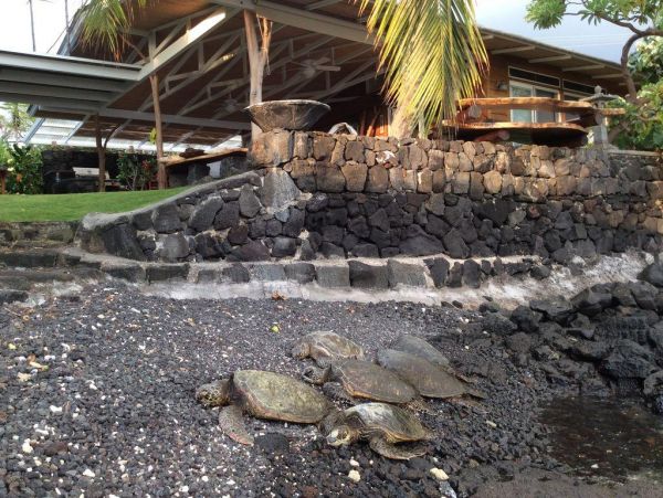 Kailua Kona Home 975057