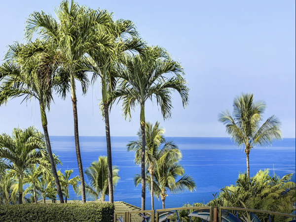 Pure Luxury Three Bedroom Villa Oceanfront