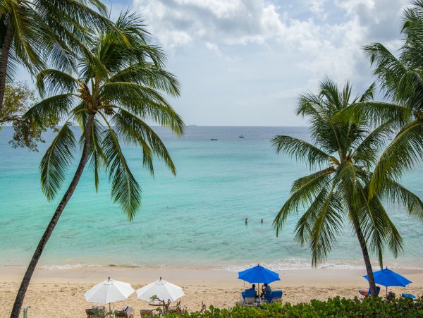 Barbados Home 975407