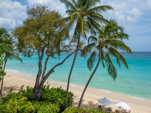 Barbados Home 975407
