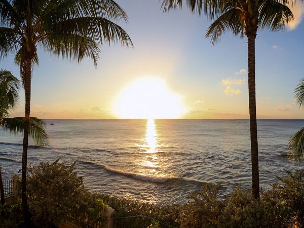 Barbados Home 975419