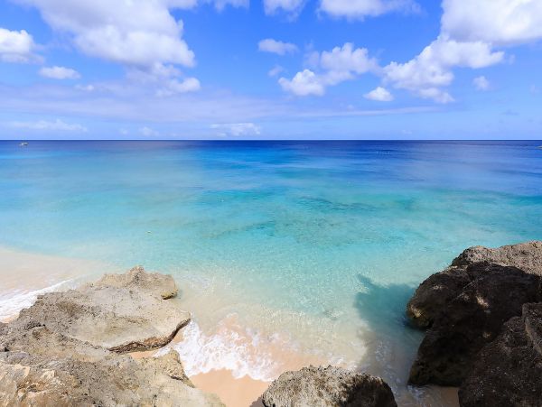 Barbados Condo 975442