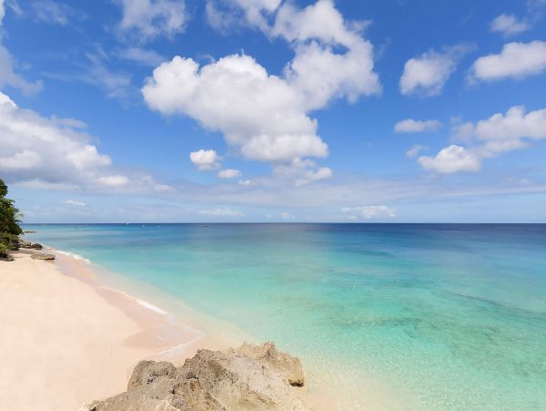 Barbados Condo 975442