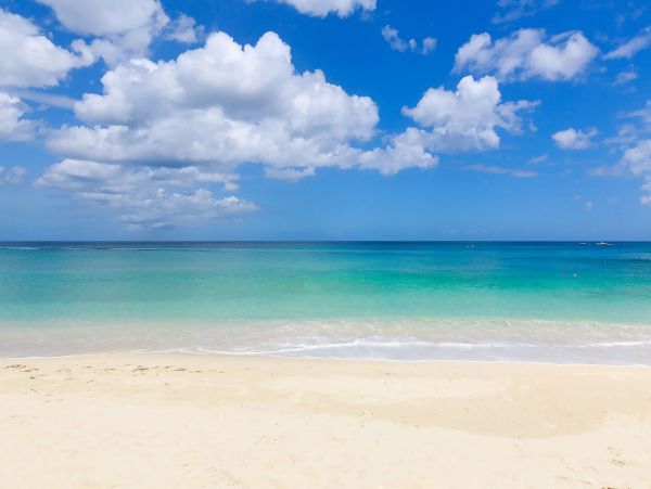 Barbados Condo 975442