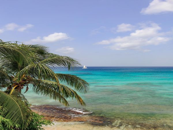 Barbados Home 975443
