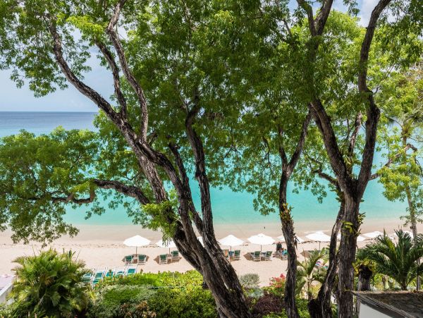 Barbados Condo 975449