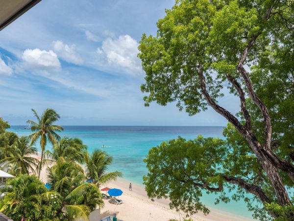Barbados Condo 975449
