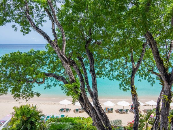 Barbados Condo 975449