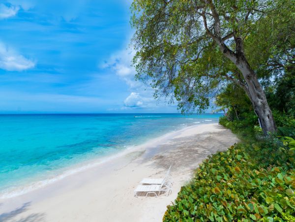 Luxury Barbados Villa Amazing  Pool