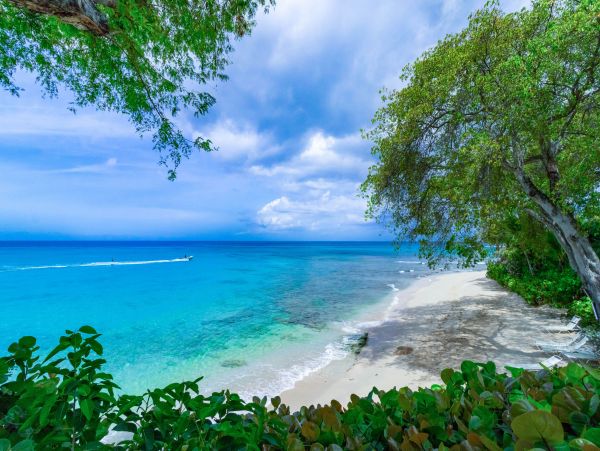 Luxury Barbados Villa Amazing  Pool