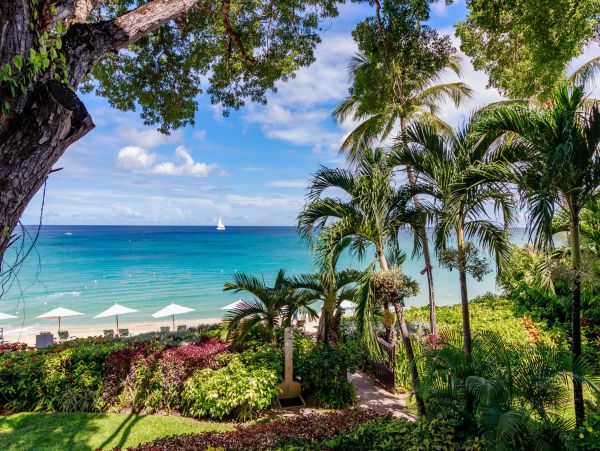 Barbados Home 975463