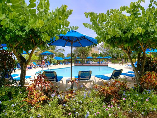 Barbados Condo 975472