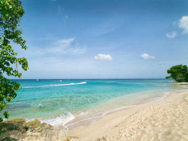 Barbados Condo 975472