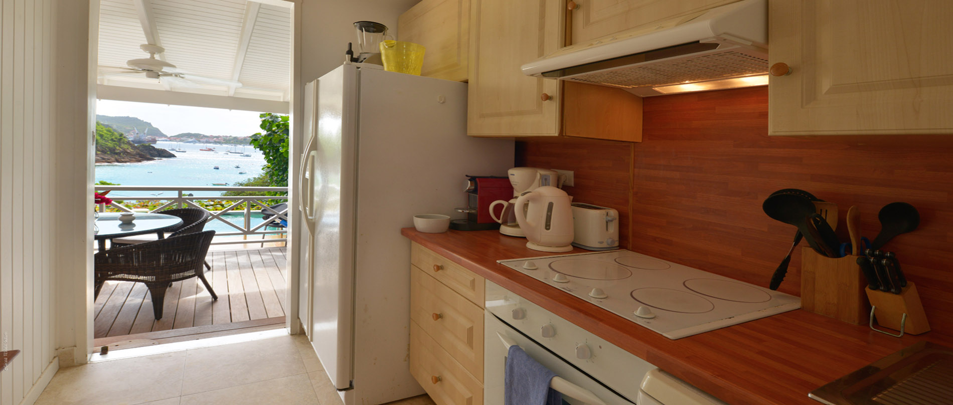 St. Barts Condo 975542