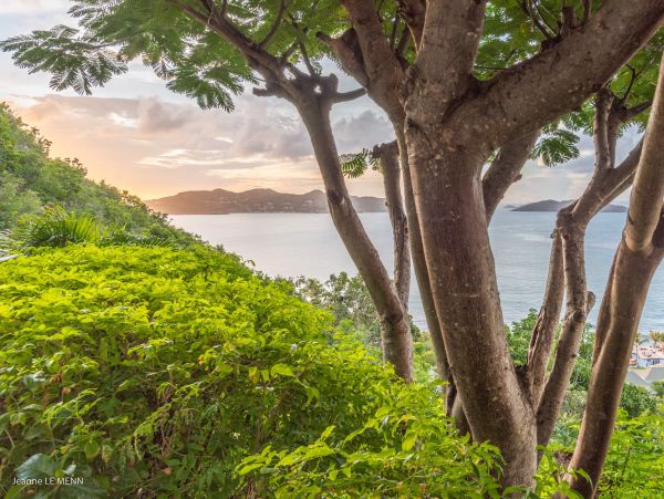 St. Barts Home 975556