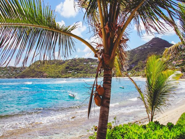 St. Barts Home 975582