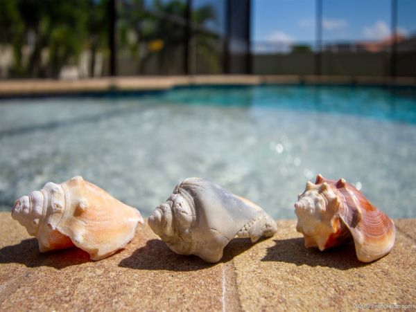 Cape Coral Home 975627