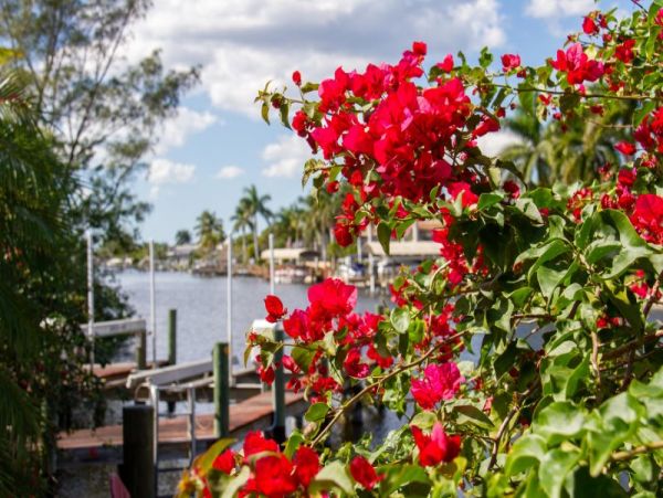 Cape Coral Home 975634