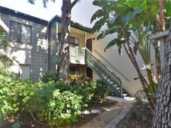 Sarasota Condo 975710