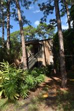 Sarasota Condo 975724