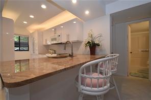 Sarasota Condo 975724