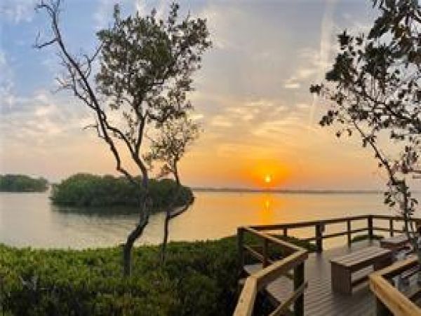 Sarasota Condo 975729