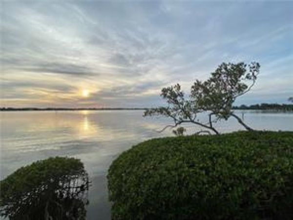 Sarasota Condo 975730