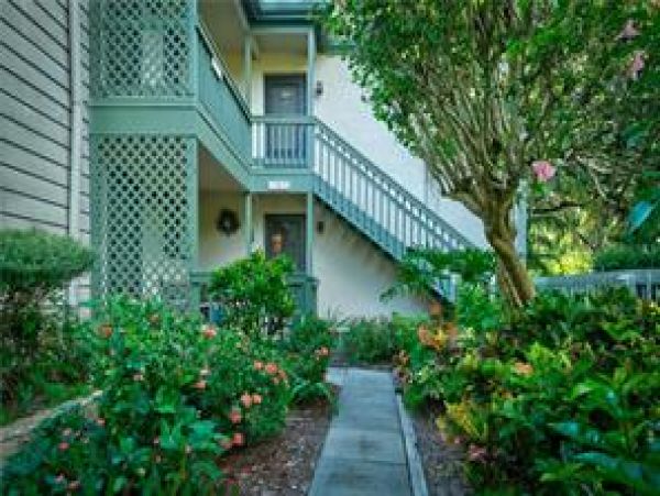 Sarasota Condo 975731